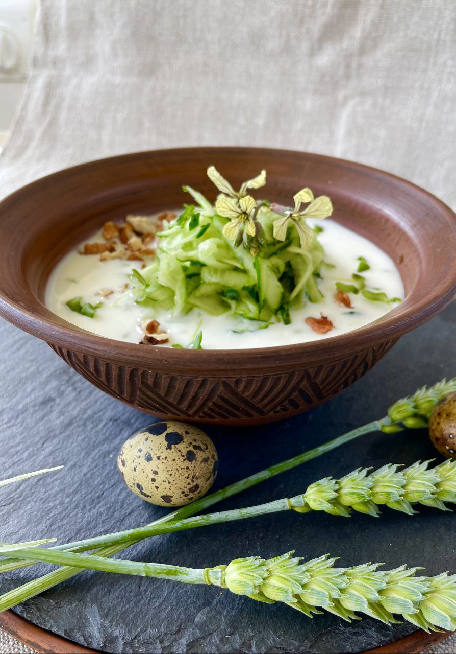 Таратор - холодный суп или огуречник