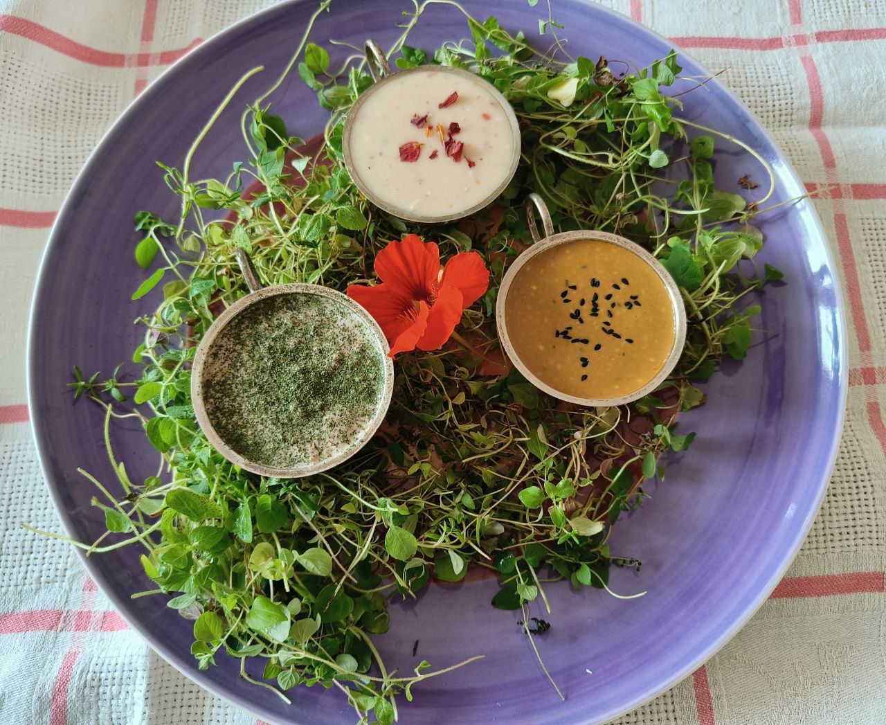 Соусы на основе пасты: ТОП рецептов соусов